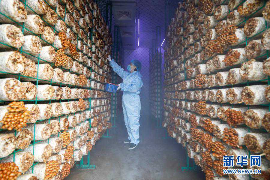 陕西学者齐声唤贤原创“知识摇篮”系列:古国名“朱罗国”读音