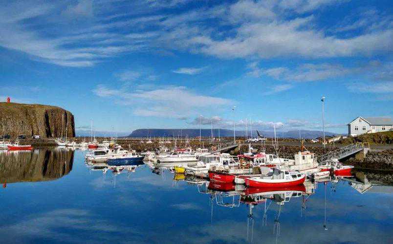 奥运冠军339万卖掉9块金牌,移民澳洲!整形参加胸模大赛进入前十