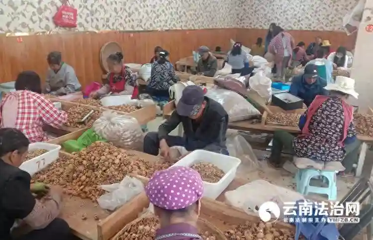 聚焦共同富裕 夯实发展基底 楚雄州在全省中央水库移民扶持基金和省级库区基金绩效评价中连续4年获评优秀