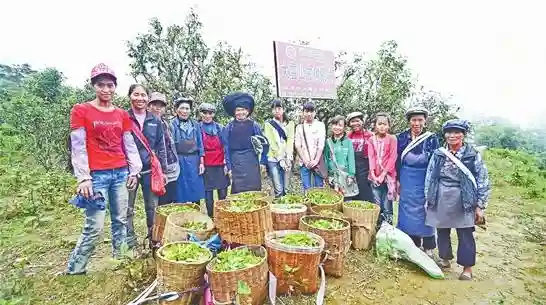 云南临沧大平掌村的实践